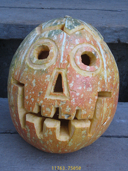 Hybrid Squash Lantern Squash Lantern At Day