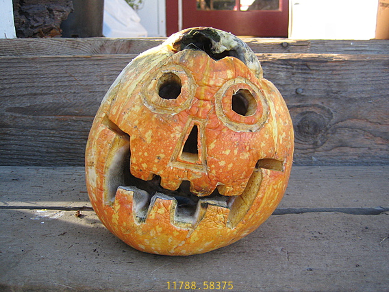 I'm Old! Geriatric Squash