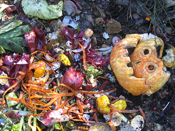 At The Squash Funeral Home Final Resting Place