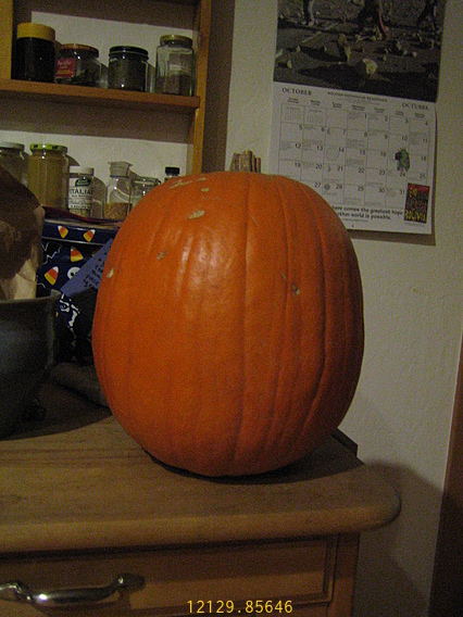 Pumpkin Pumpkin Front