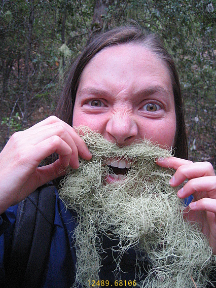 Hands Off Bearded Lady