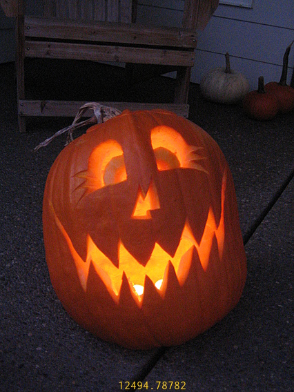 Hi there, Fella! Happy Pumpkin at Day