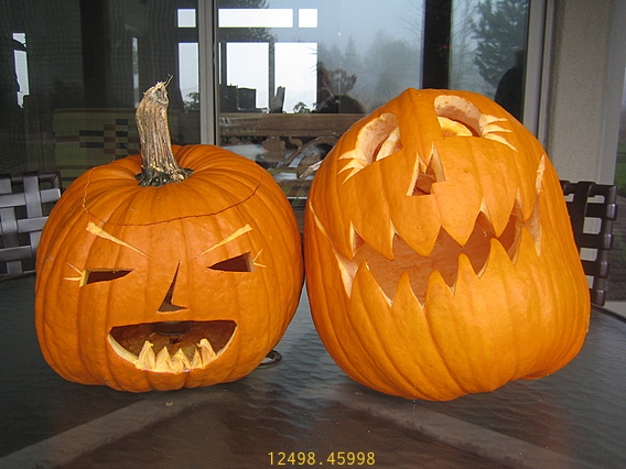 Lovely to have met you Pumpkin Lanterns at Day