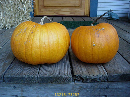 Tragically young So Young