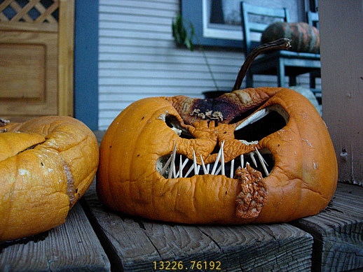 What are you lookin’ at? Crusty