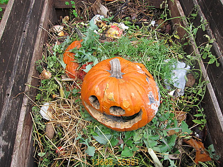 13608.560-Lantern_2_Compost_Rest_Home.jpg