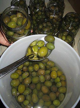 11116.494-Olives.jpg